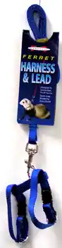 Marshall Ferret Harness Lead Blue