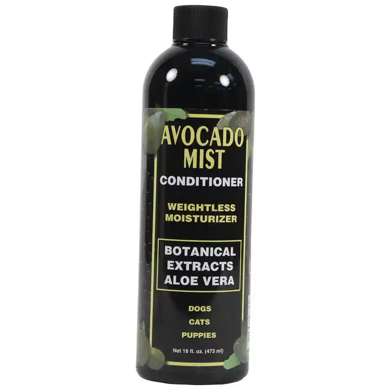 Eqy Conditioner Avacado Mist 16 Oz
