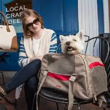 Kurgo D Carrier Metro