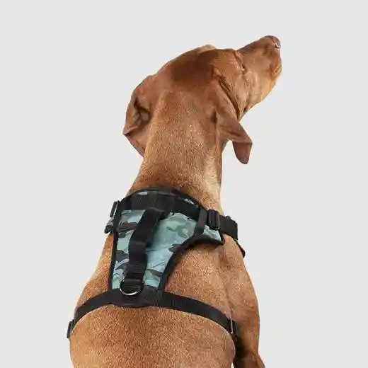 The Everything Harness In Camo Medium