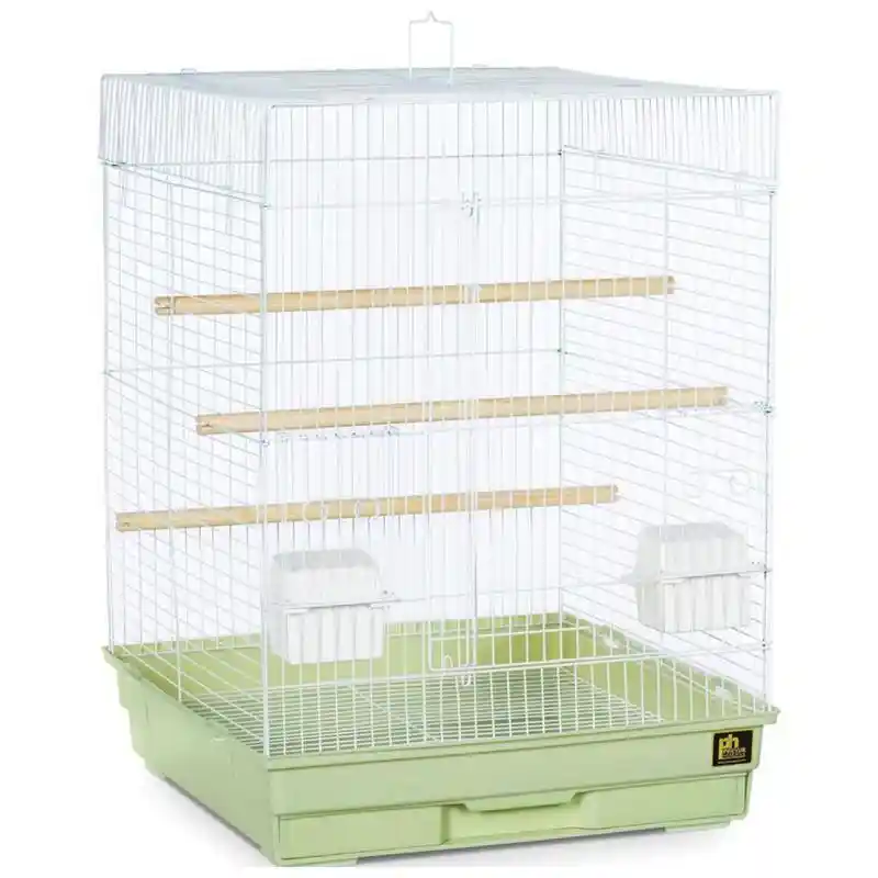 Cockatiel Parakeet Economy Cage Assorted 18"x18"x24"