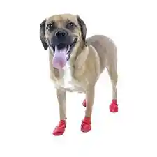 Waterproof Dog Boots, Red, 12 Count Small