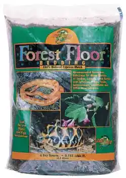 Zoomed Forest Floor Bedding 8 Quart