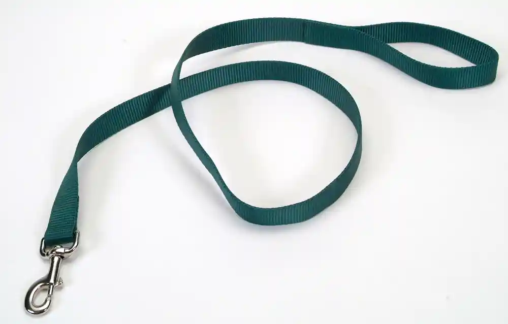Single-ply Dog Leash, Hunter, 1" X 06'