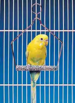 Cement Finch Swing 3"