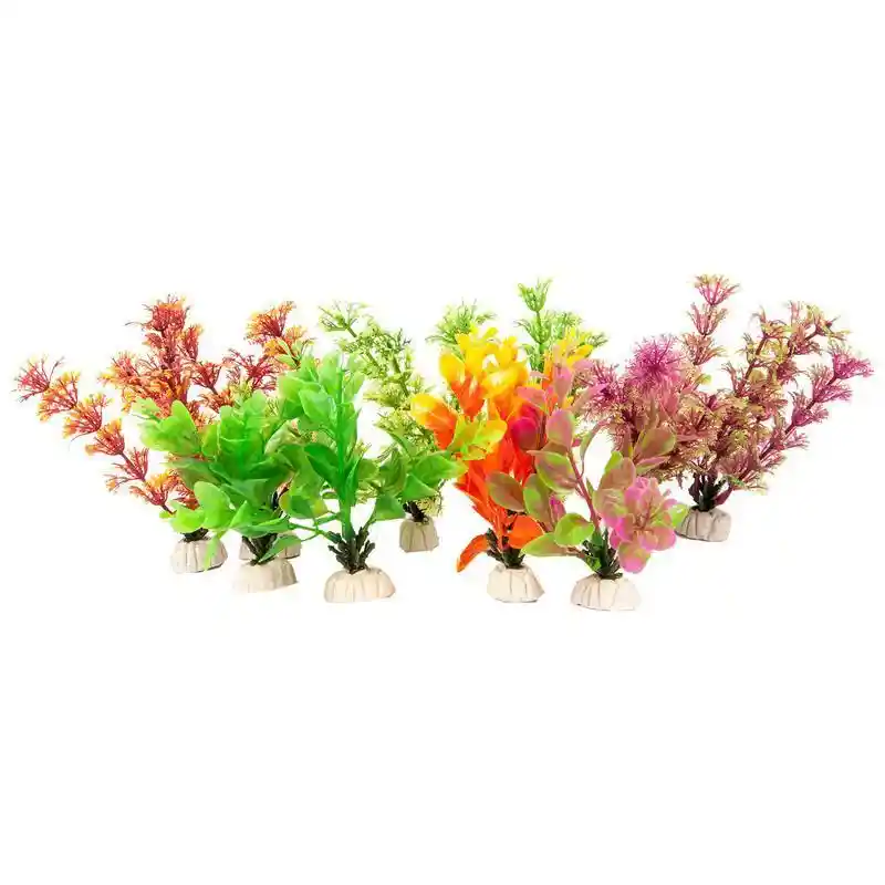 Plant Power Pack Assorted 10pk/5 In;