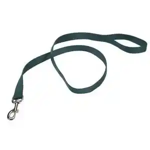 Single-ply Dog Leash, Hunter, 1" X 06'