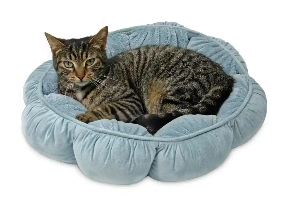 Petmate Bed Puffy Cat Bed Round 16"