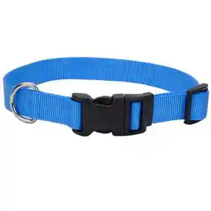 Adjustable Dog Collar With Plastic Buckle, Blue Lagoon, 3/8" X 8"-12"