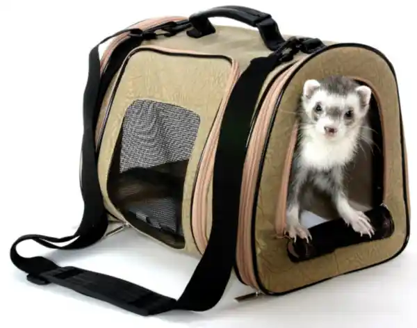 Marshall Designer Pet Tote