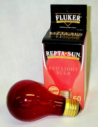 Red Heat Bulb 60 Watt