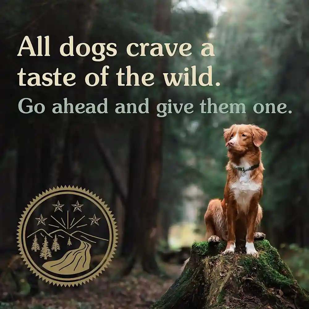 Pine Forest Grain-free Dry Dog Food 14-lb