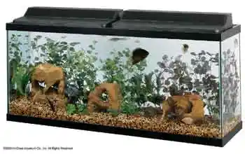 55 Gallon Black Trim Aquarium 48"x13"x20"