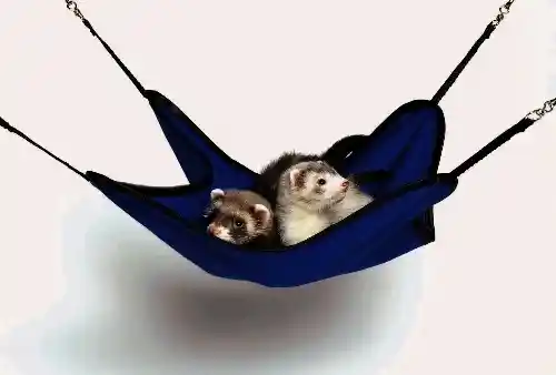 Kaytee Ferret Hanging Hammock