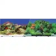 Background Carbon Coral/fresh 24"