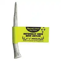 Regular Antler 5"-6"