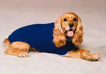 Classic Sweater X-small-blue