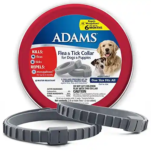 Adams+ F&t Collar Dog 26;