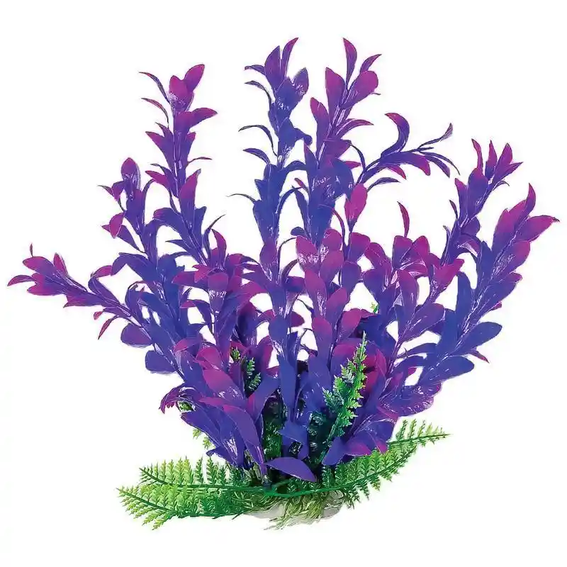 Plant Hygro Pink/purple 9"
