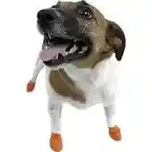 Waterproof Dog Boots, Orange, 12 Count X-small