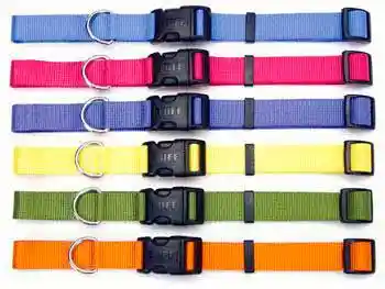 Adjustable Dog Collar With Plastic Buckle, Blue Lagoon, 3/8" X 8"-12"