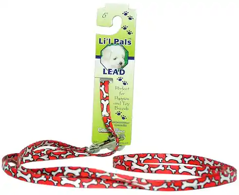 Patterned Dog Leash With E-z Snap®, Red And White Bones, 3/8" X 06'