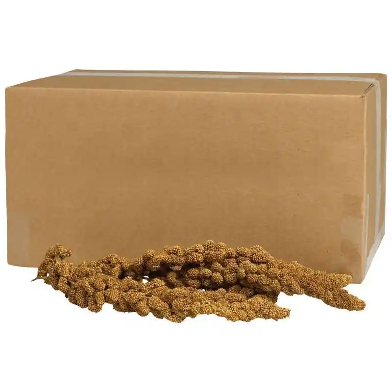 Millet Spray Honey Gold 500 Count
