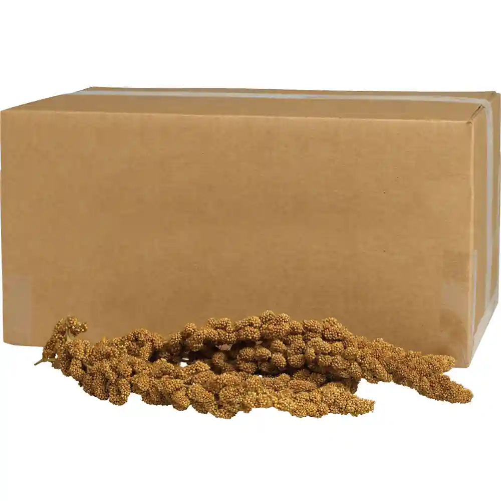 Millet Spray Honey Gold 500 Count