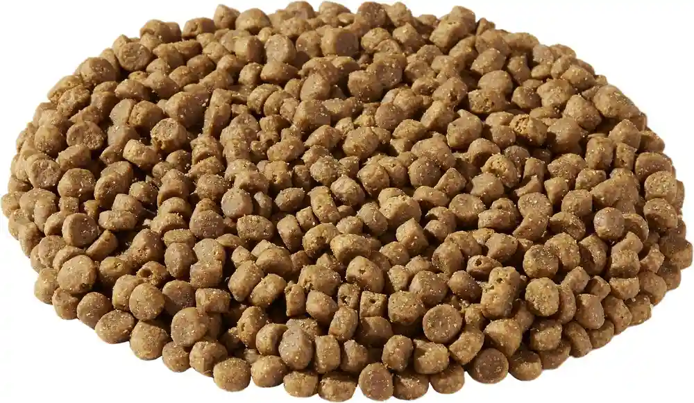 Market Fresh Chicken & Turkey Recipe Grain-free Dry Cat Food 2-lb