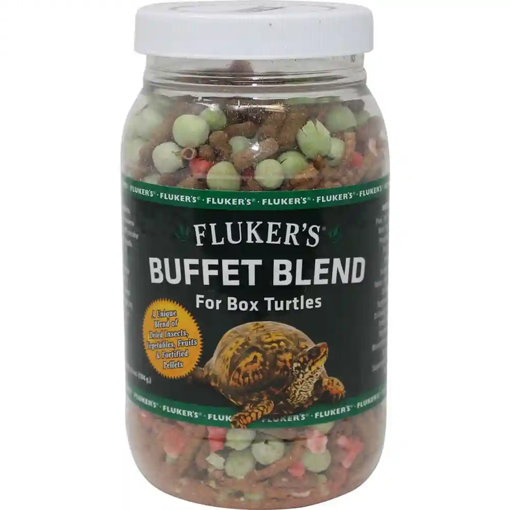 Box Turtle Buffet Blend