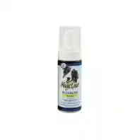 Waterless Shampoo For Dogs 6 Oz