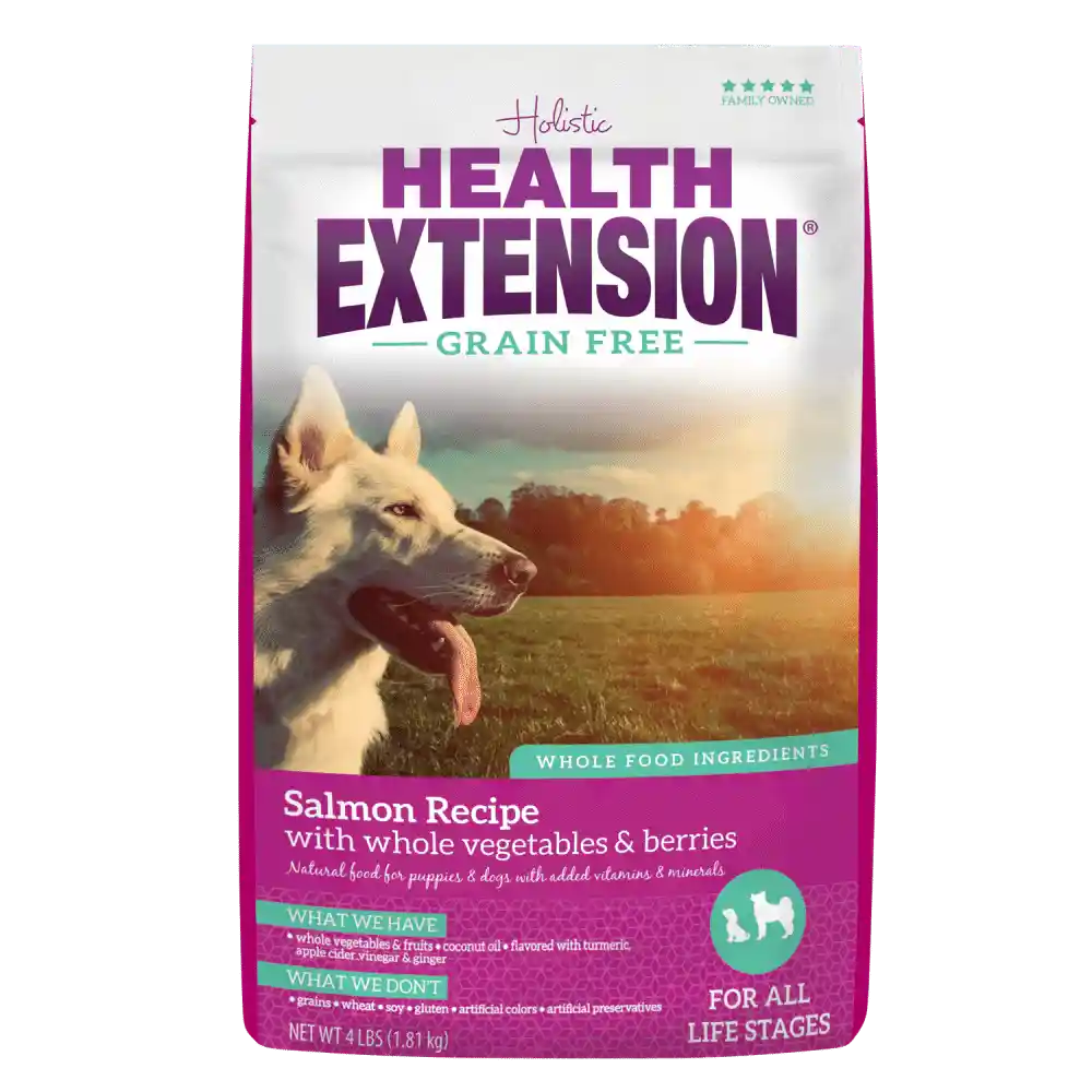 Grain Free Salmon Recipe Dry Dog Food 4-lb