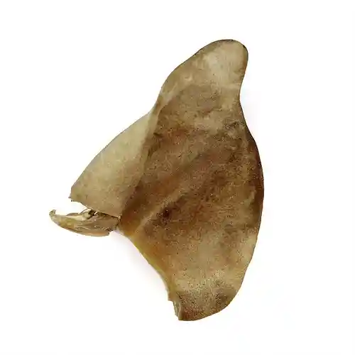 Raw Fusion Frozen Raw Chicken Recipe Dog Food Patties - 6 Lbs