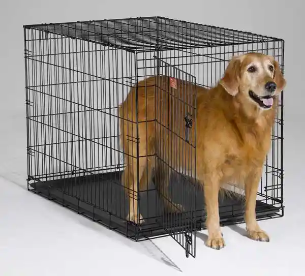 I-crate Single Door Folding Dog Crate 42"x28"x30"