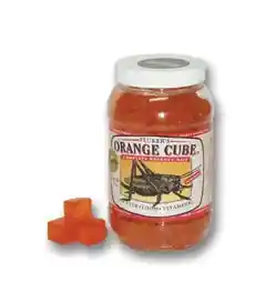 Orange Cube Complete Cricket Diet 12 Oz
