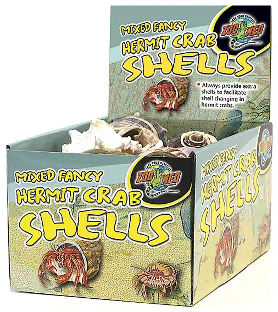 Hermit Fancy Shells 24 Pc