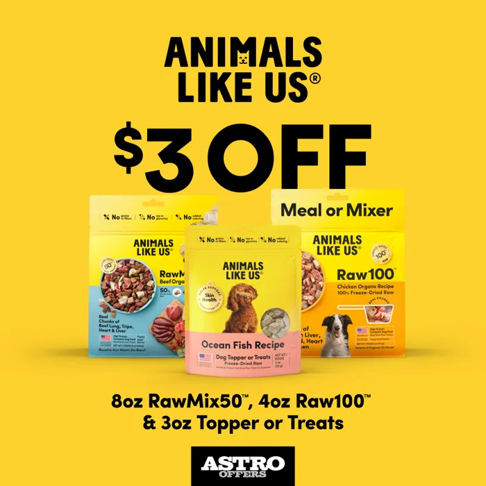 Promotion Image