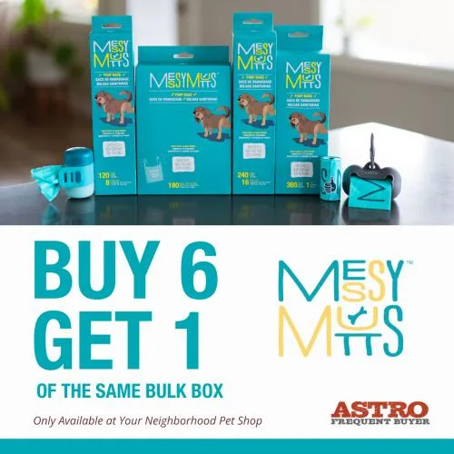 Promotion Image