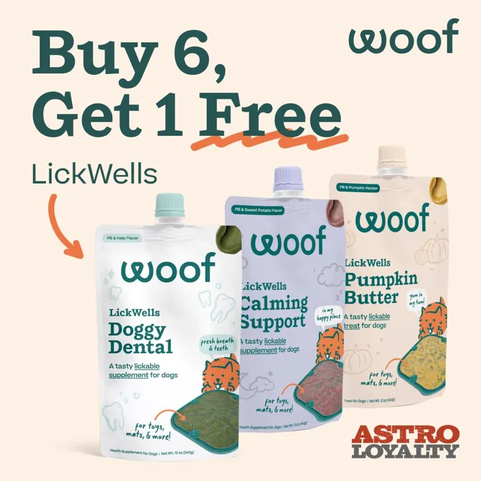 Promotion Image