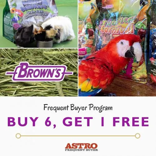 Promotion Image