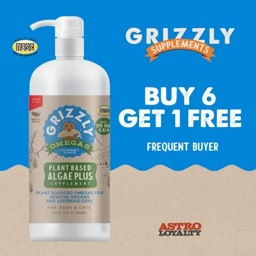 Promotion Image