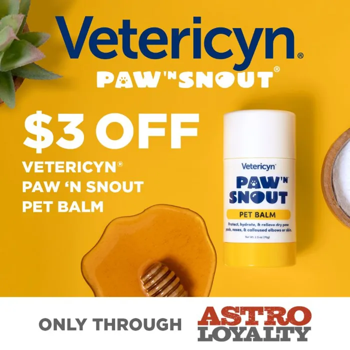 Promotion Image