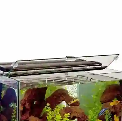 Image Alternative Text