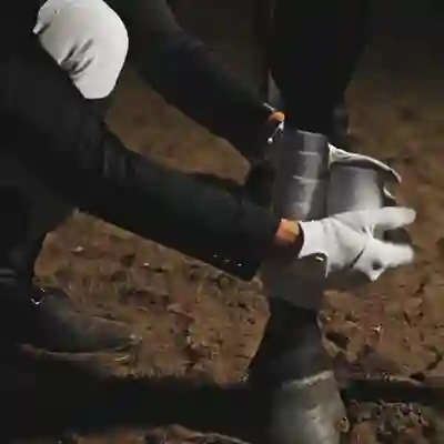 Image Alternative Text