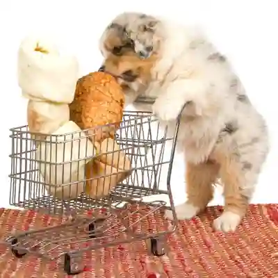 Image Alternative Text