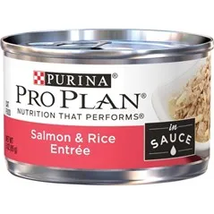 Pro Plan Cat Salmon & Rice 3 Oz