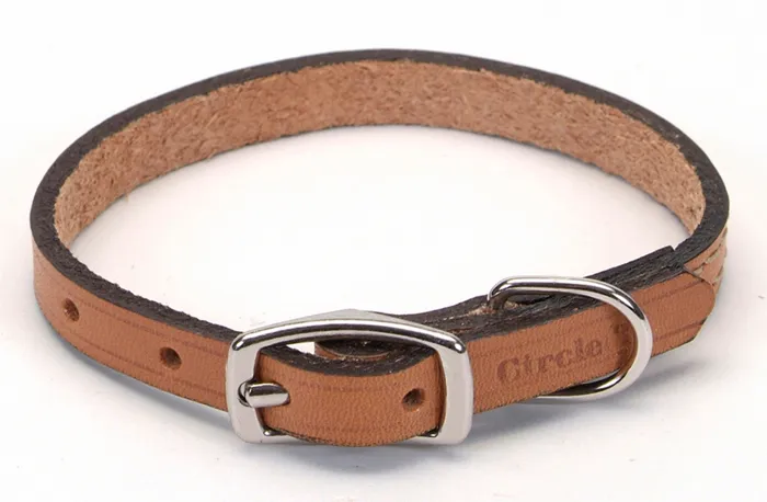 Oak Tanned Leather Town Collar 1/2"x16"-tan