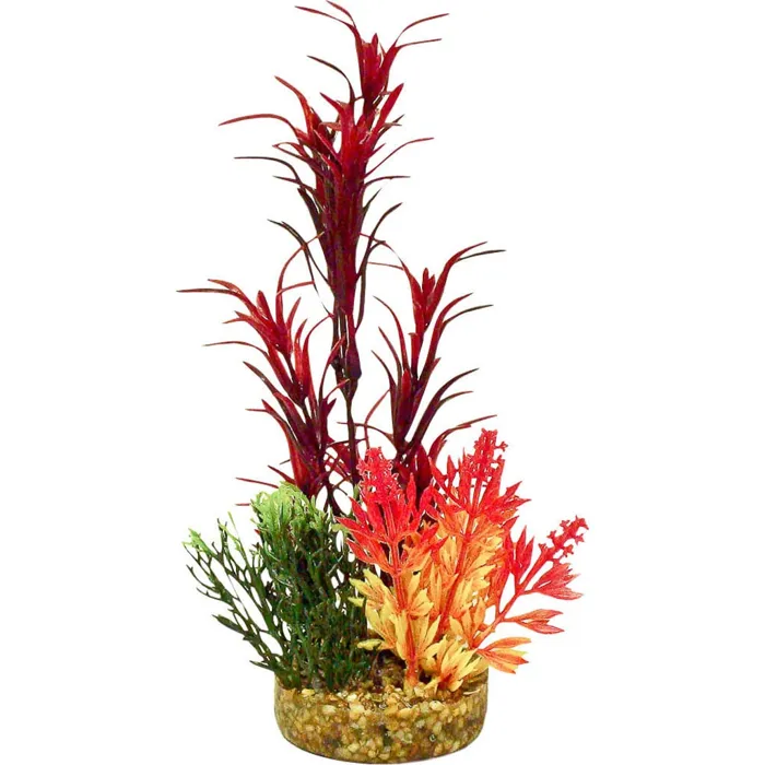 Gravel Base Plant Sea Grass Bouquet Red