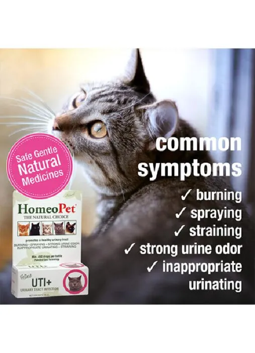 Homeopet Urinary Tract Infection For Cats 15ml