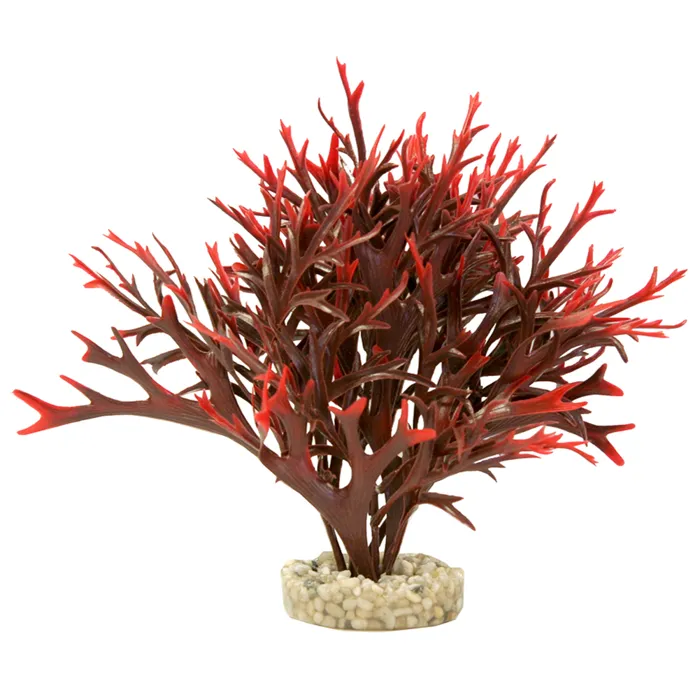 Gravel Base Plant Large Water Fern Red3